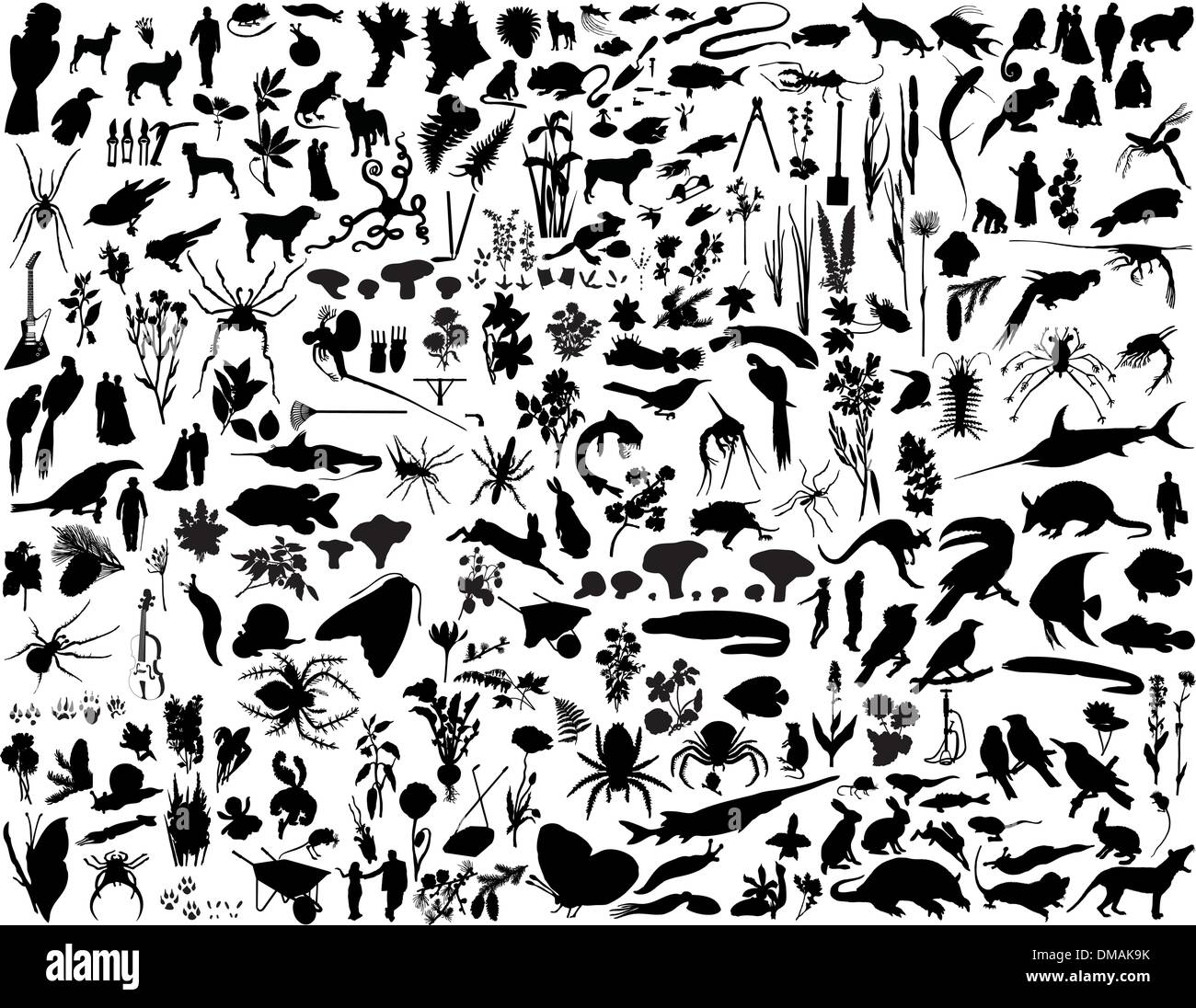 Animal collage Black and White Stock Photos & Images - Alamy