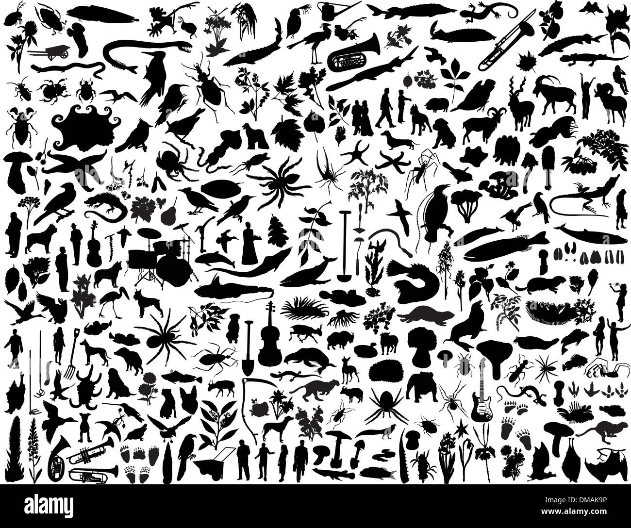 Animal collage Black and White Stock Photos & Images - Alamy