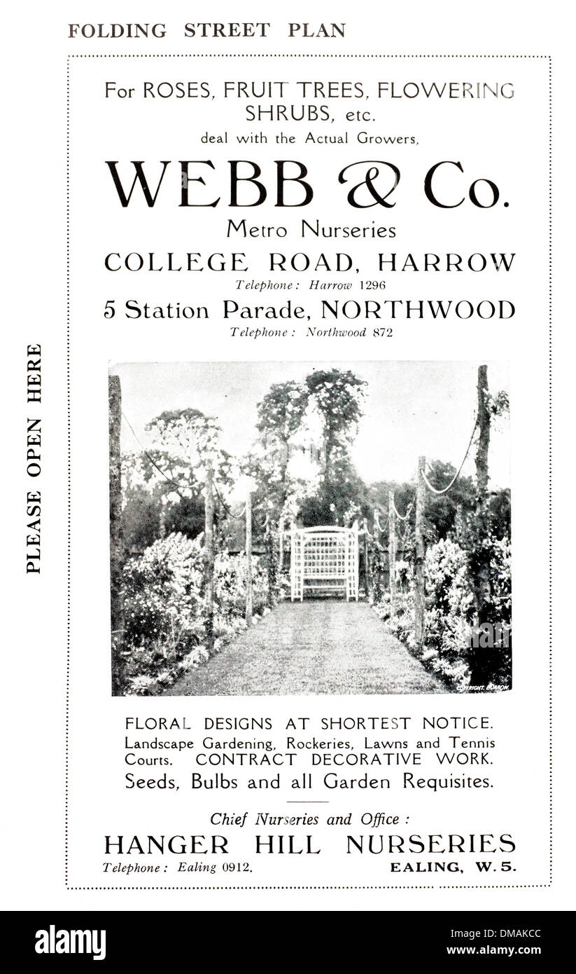 Advert Webb & Co Nurseries Florists Harrow Historical Archival Document Stock Photo