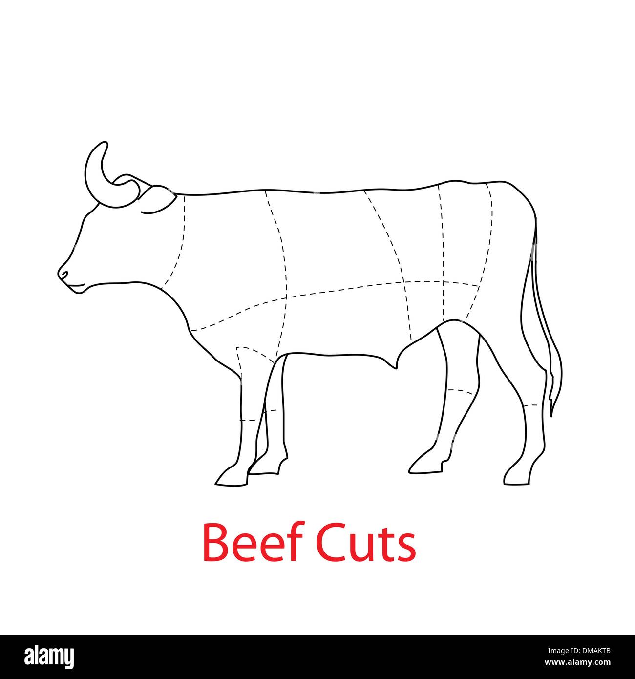 beef-cuts Stock Vector