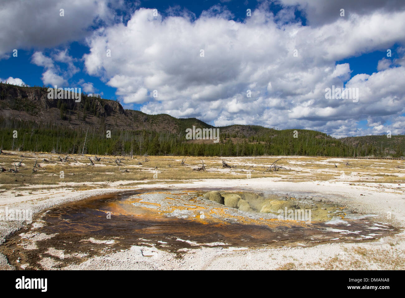Jewel Geyser Biscuit Basin Yellowstone National Park Wyoming. USA LA006725 Stock Photo - Alamy