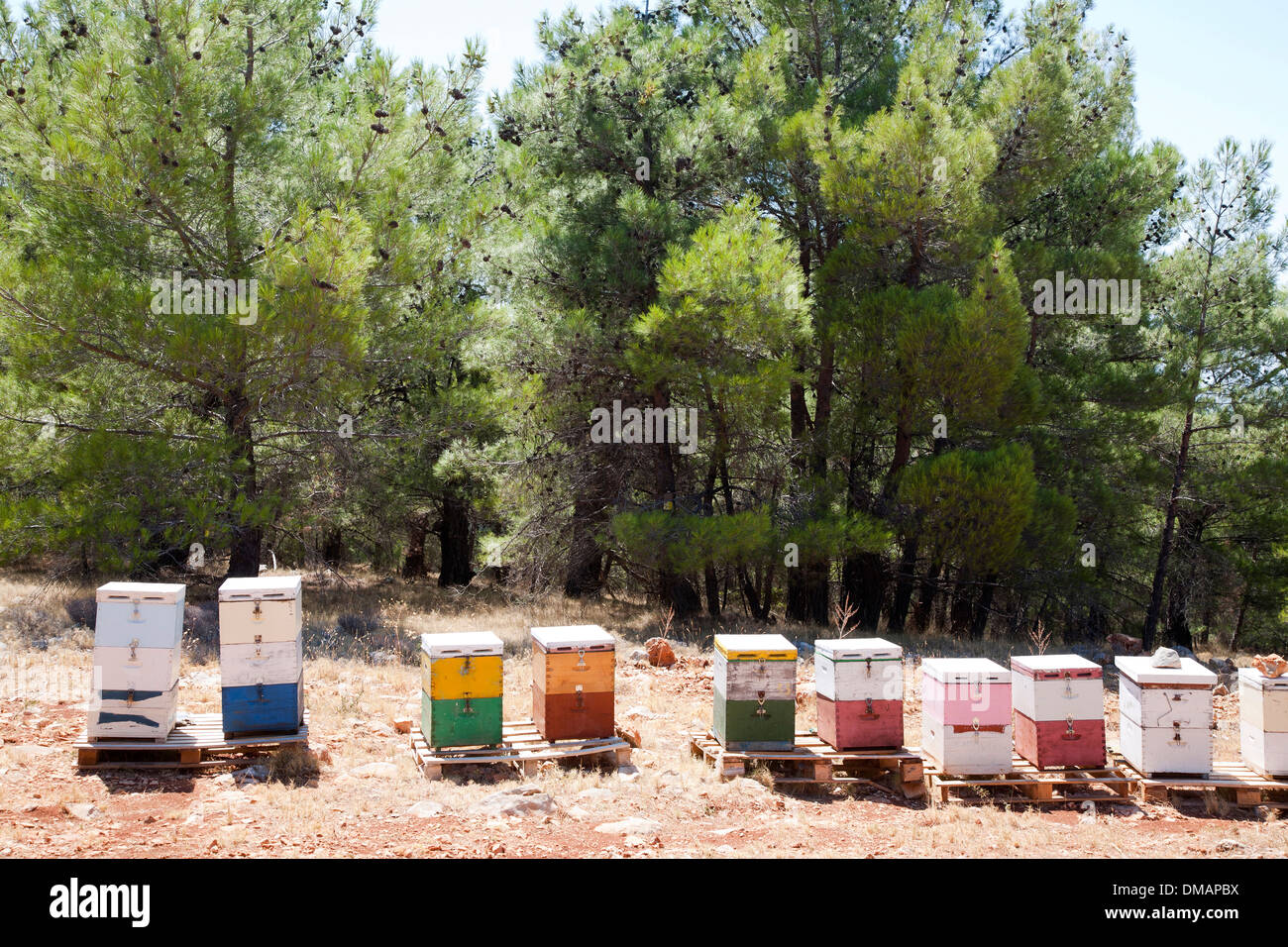 hives, island of chios, north east aegean sea, greece, europe Stock Photo