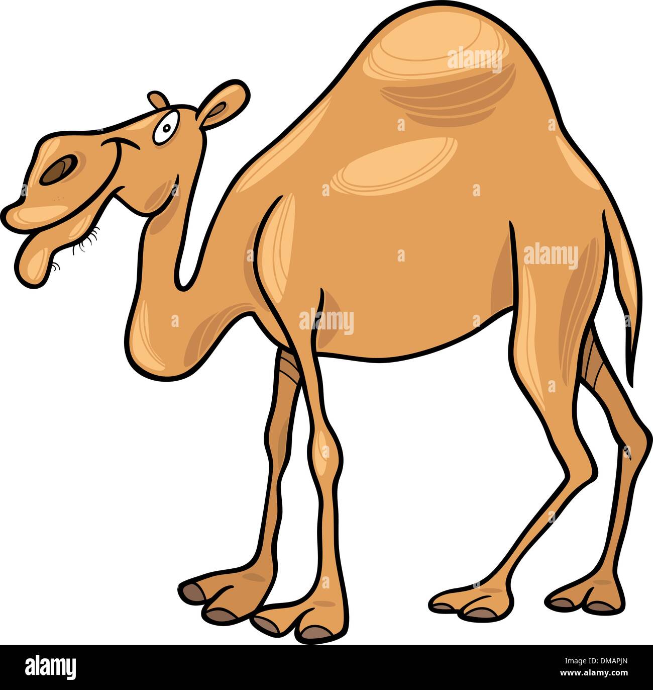 dromedary camel Stock Vector