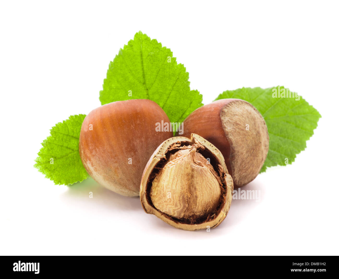 Hazelnuts with shell and green leaf isolated Stock Photo Alamy