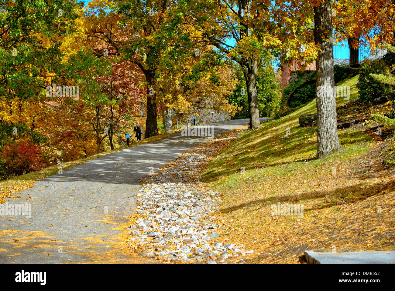 Path in the park Stock Photo - Alamy
