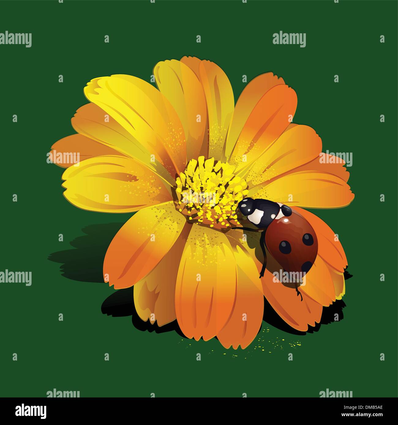 Ladybird on flower Stock Vector Images - Alamy