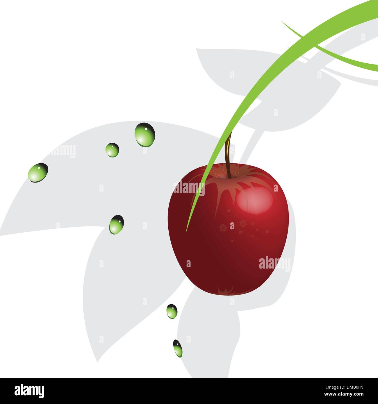 Apple tree branch juicy fruit Stock Vector Images - Alamy