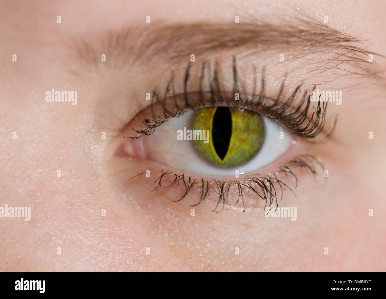 A human eye with the iris of a cat Stock Photo