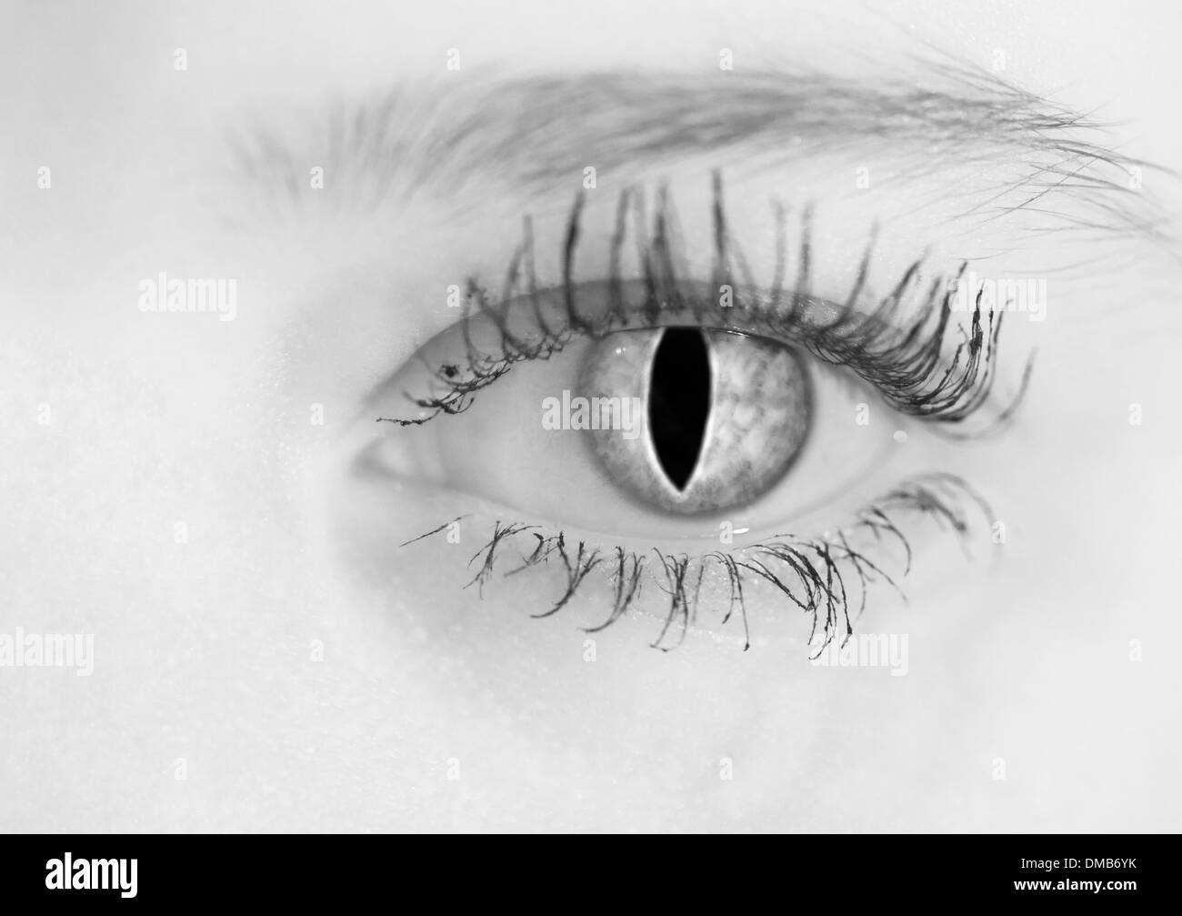 A human eye with the iris of a cat Stock Photo
