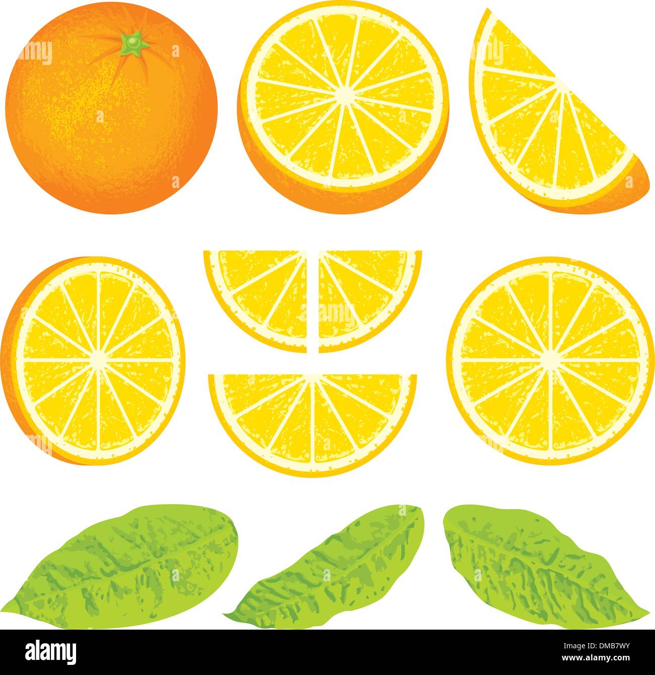 Three orange slices Stock Vector Images Alamy