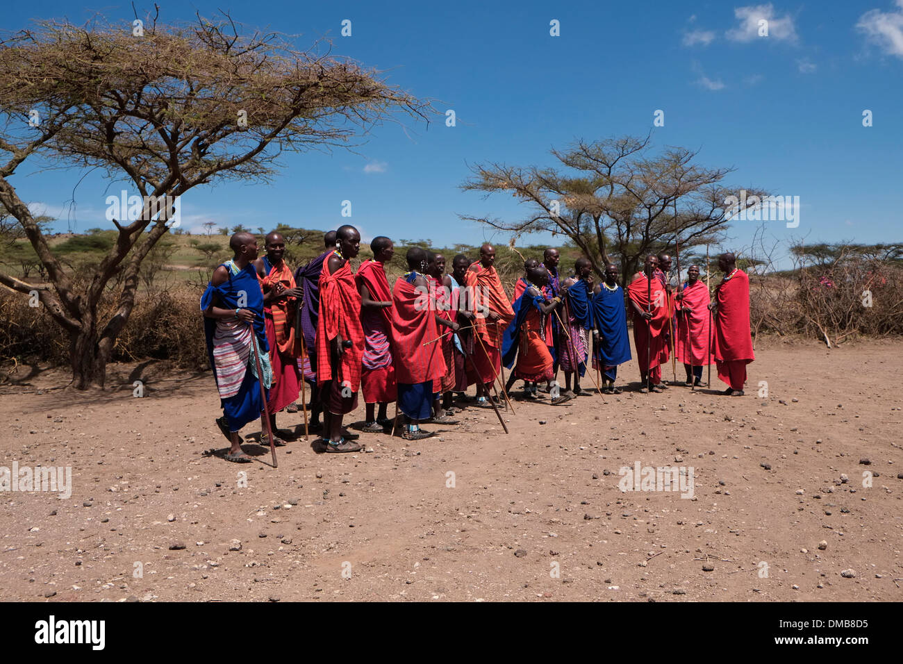 Maasai warriors wearing a traditional red shuka robe in the Ngorongoro ...
