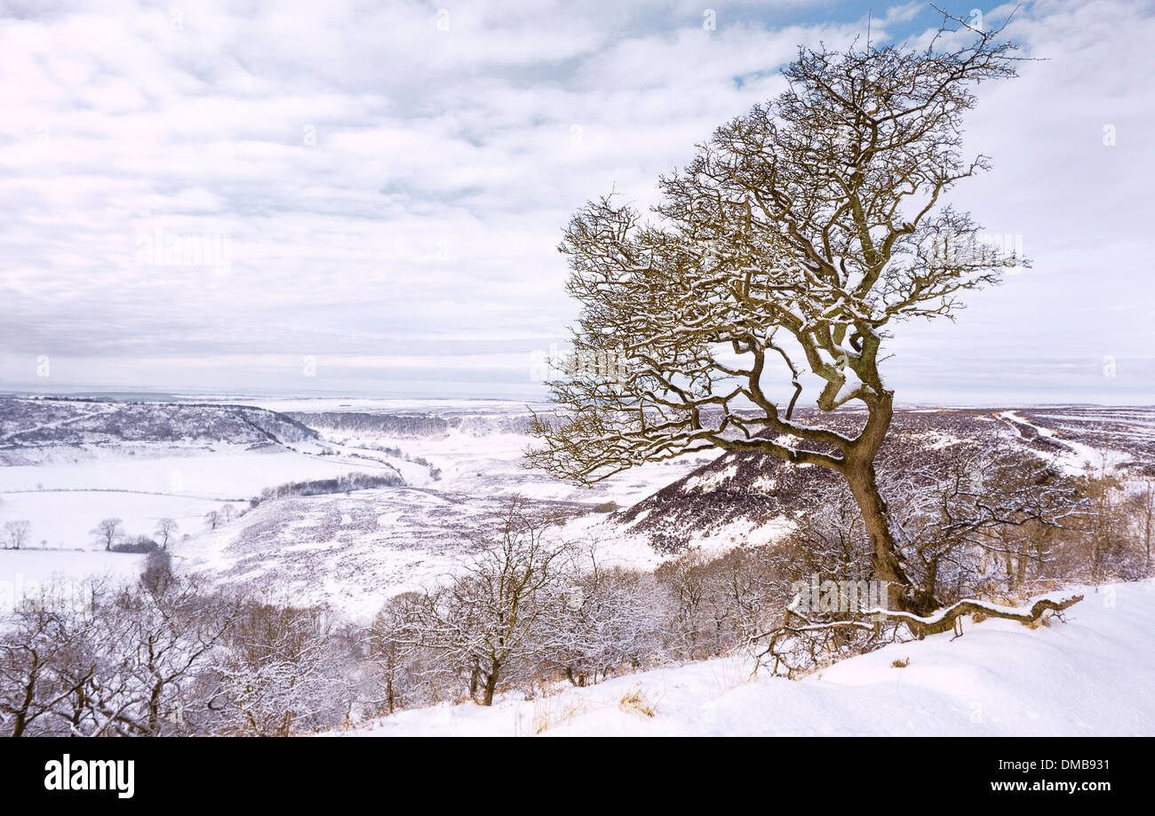 Snow over the Hole of Horcum in the midst of the North York Moors near the village of Goathland, Yorkshire, UK. Stock Photo