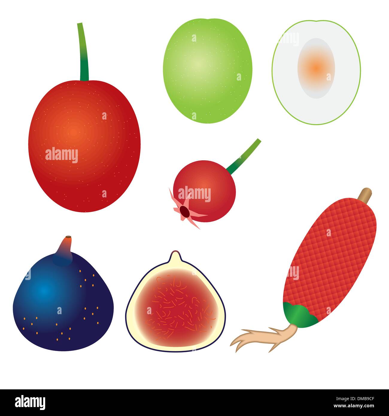 Set of exotic fruits. Stock Vector
