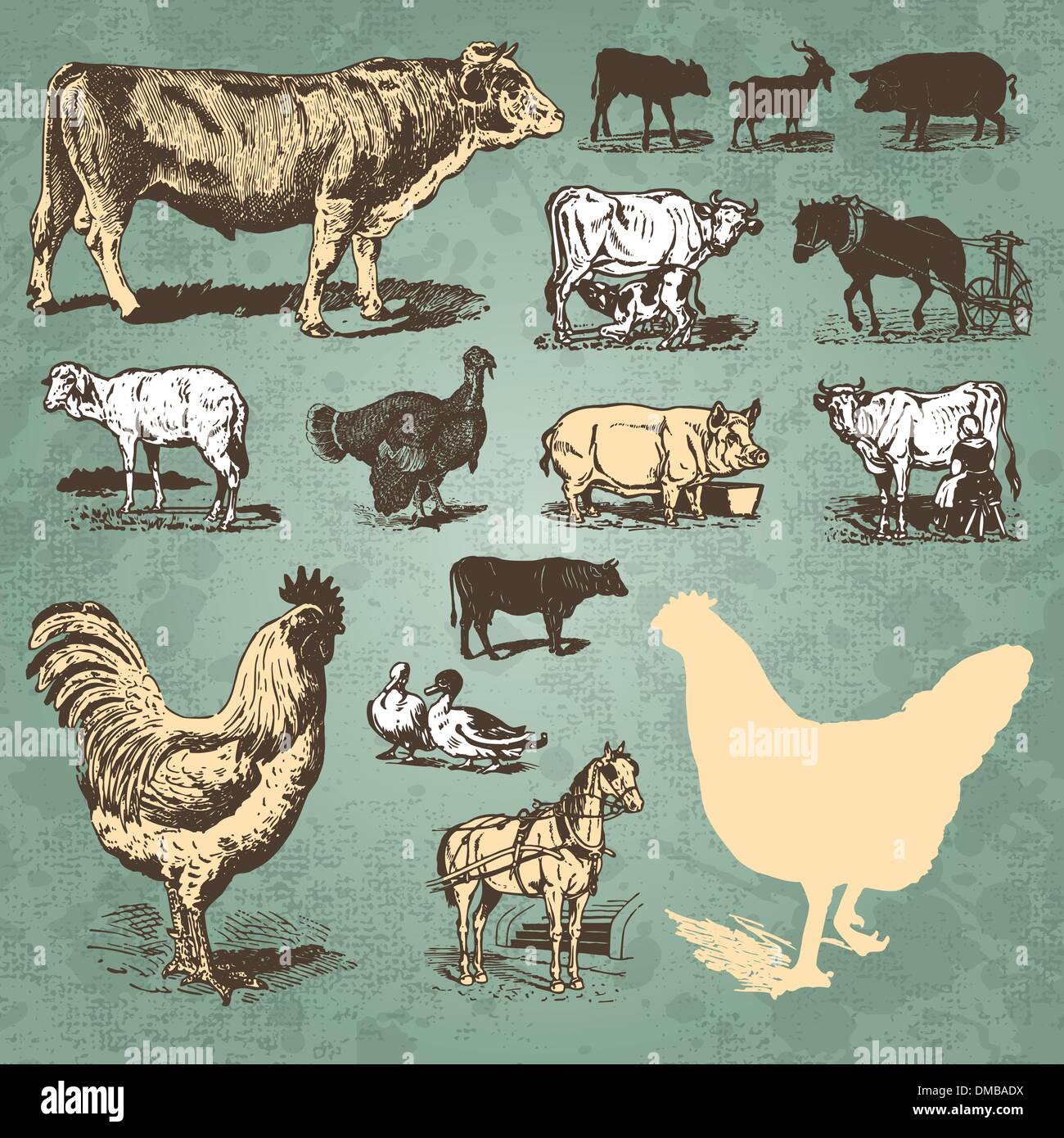 Farm animals vintage set (vector Stock Vector Image & Art Alamy