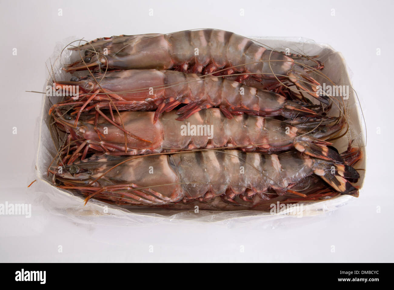 Shrimp Pack Deep Freeze Eat Ice Nutrition Seafood Sea Creature Commerce Buy Sell Wholesale Package Quantity Many Number Stuck Stock Photo Alamy