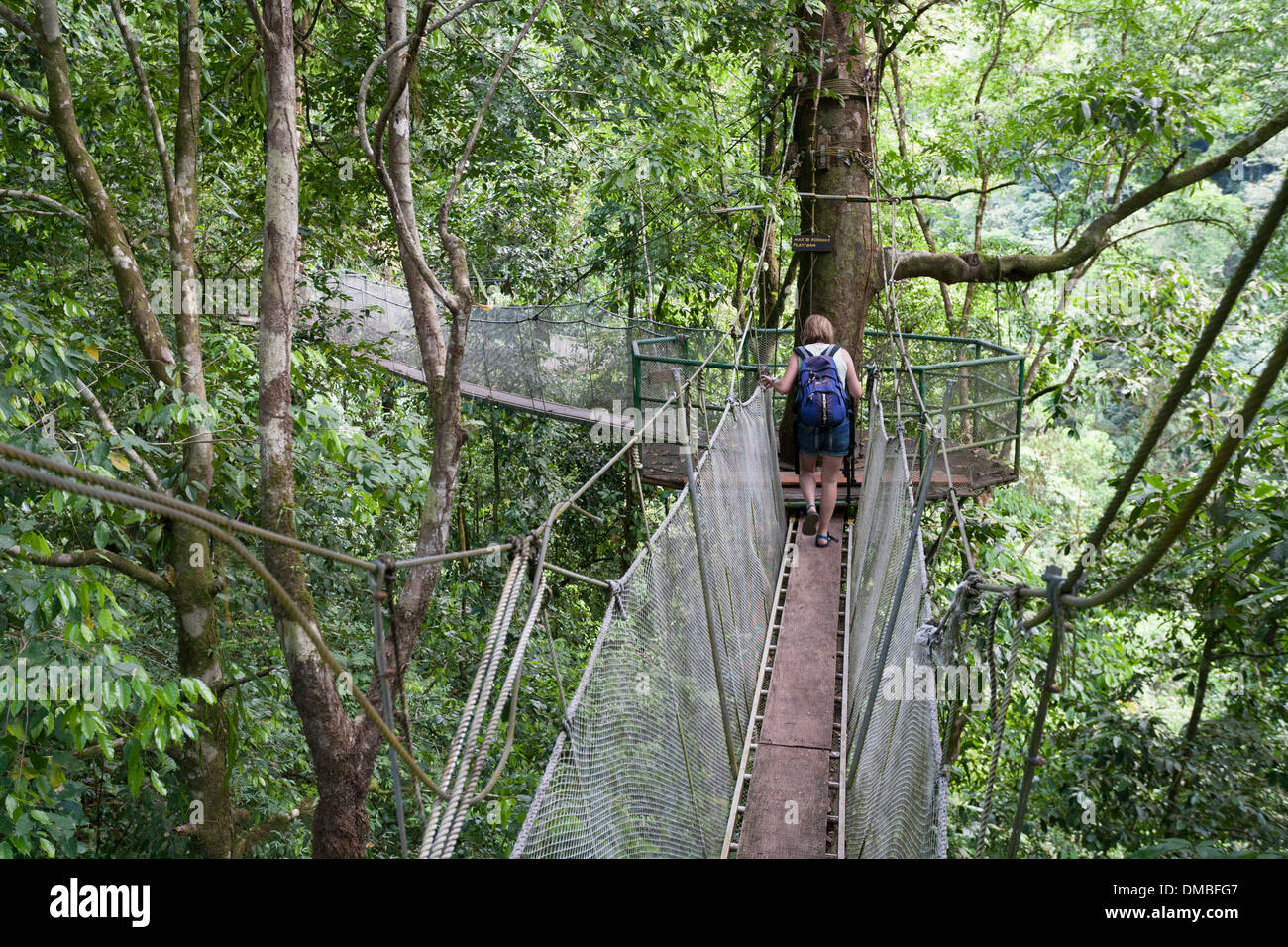A woman walks along one of the suspended walkways in the forest canopy at the Rainmaker Conservation Project Costa Rica. Stock Photo