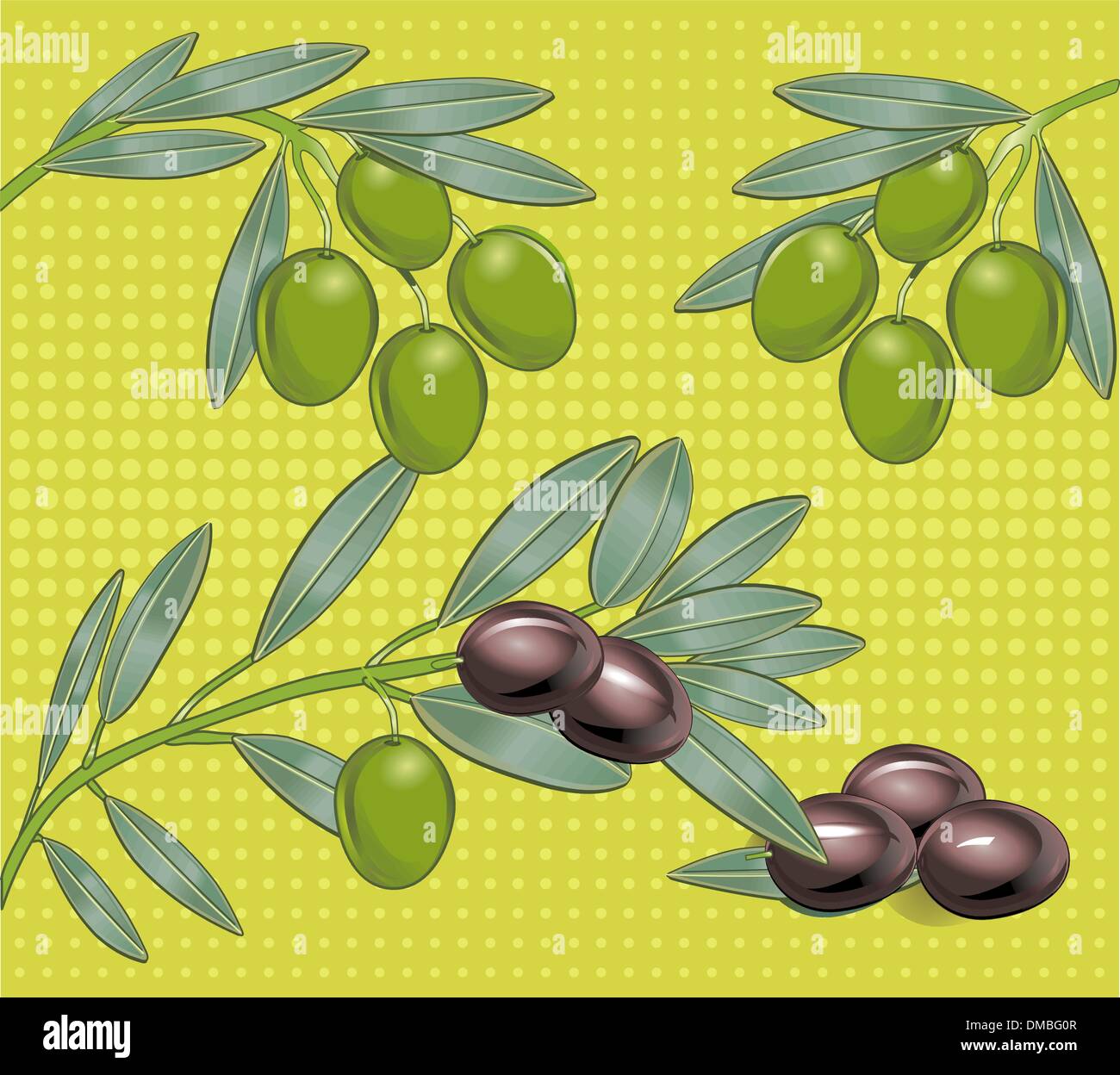 Olives Stock Vector