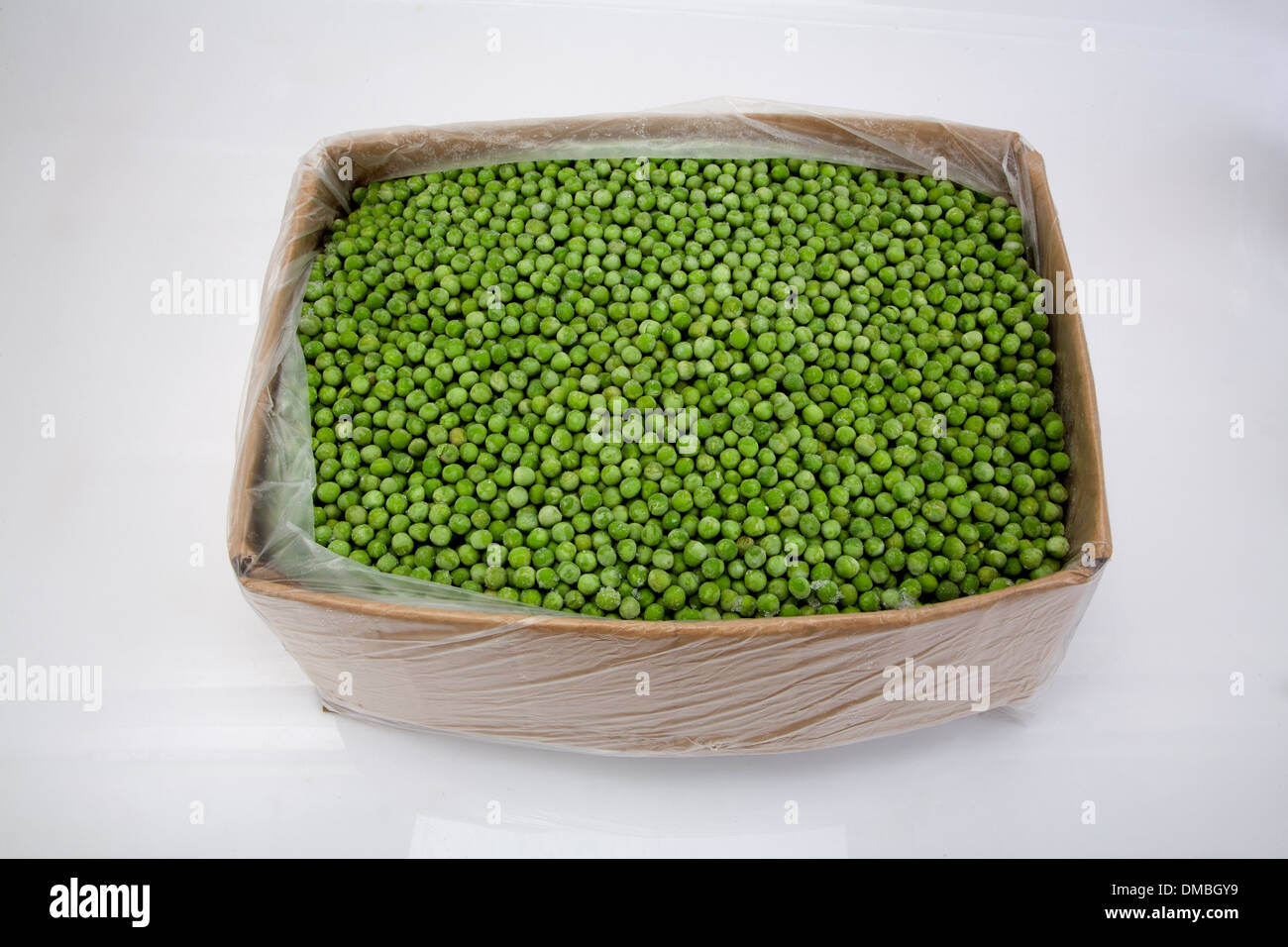 Frozen peas beans lettuce cabbage products laid on ice to be showcased