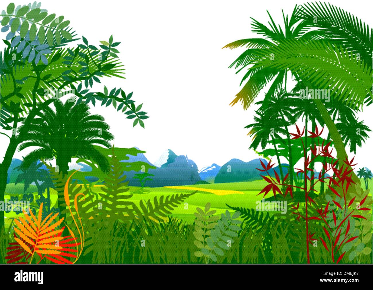 Trees of tropical forests Stock Vector Images Alamy