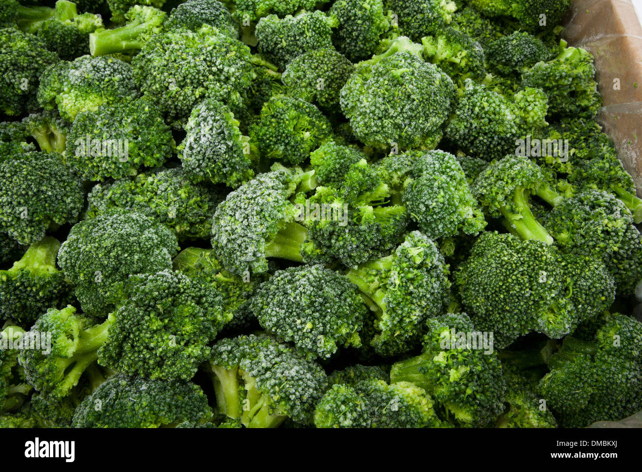Frozen peas beans lettuce cabbage products laid on ice to be showcased