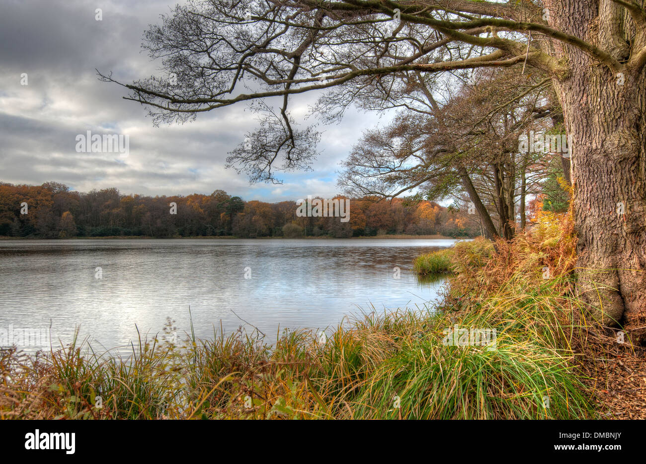 Virginia Water Lake in Autumn Virginia Water Surrey England UK Stock