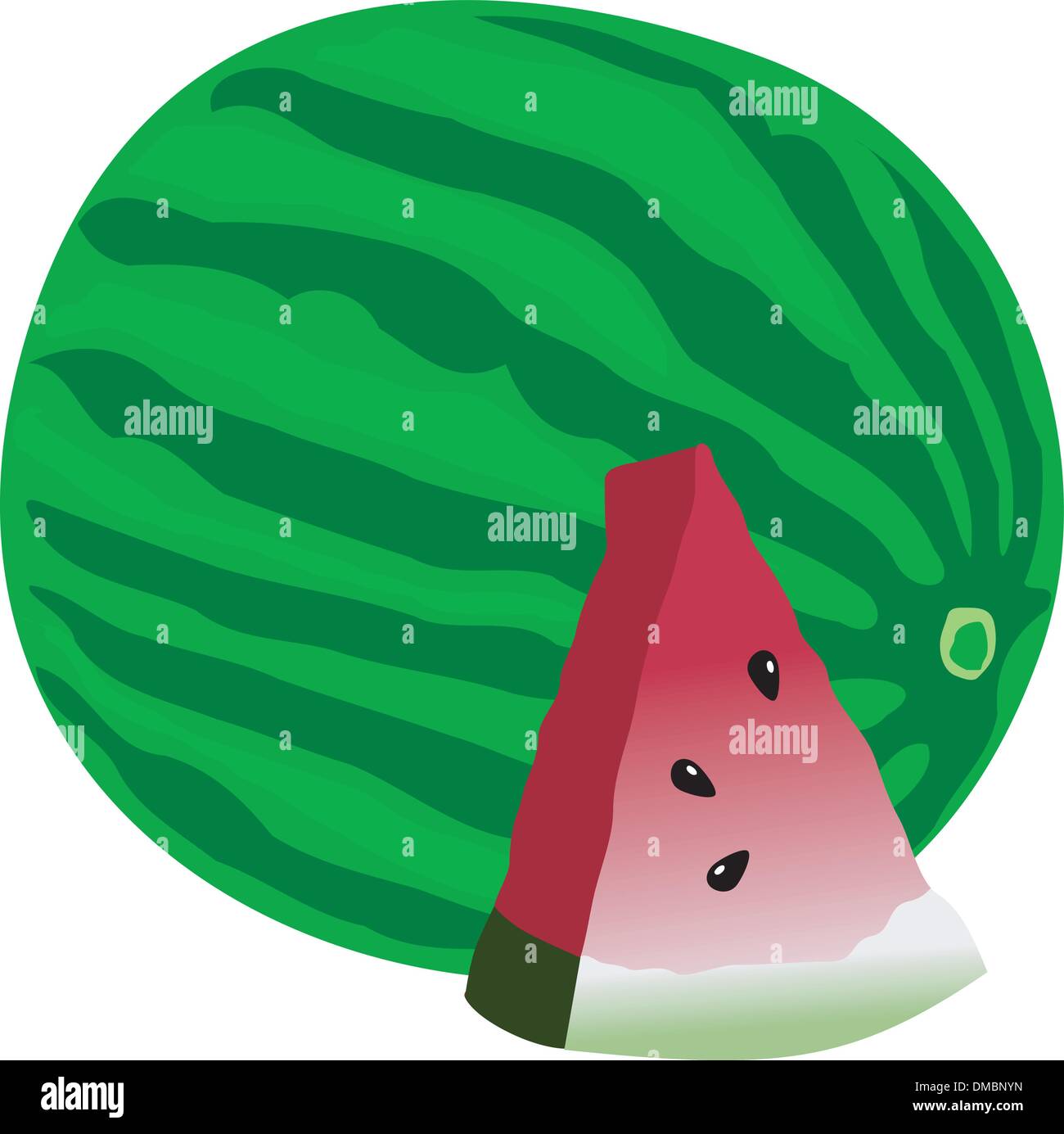 watermelon with sliced Stock Vector