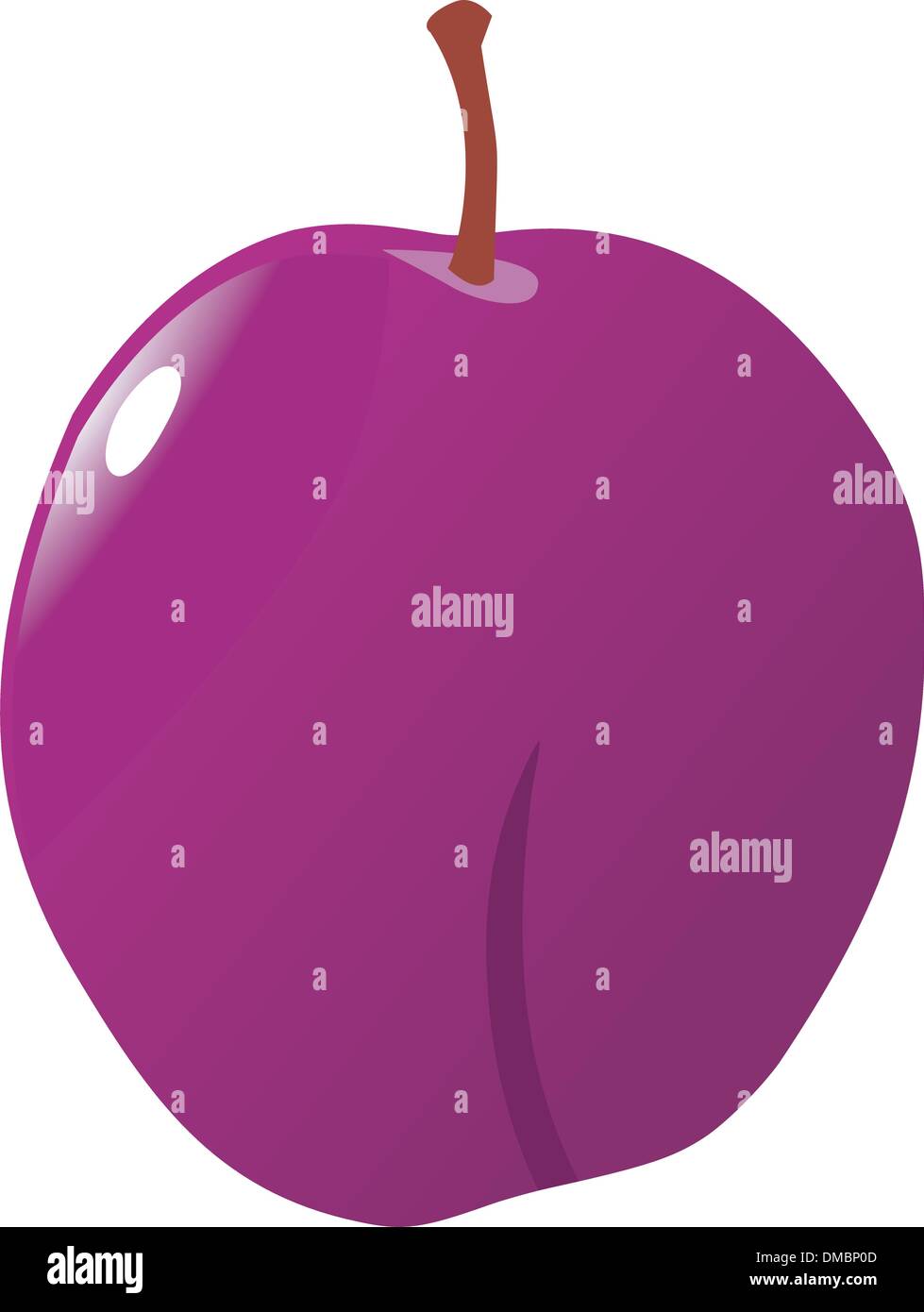 fresh plum Stock Vector