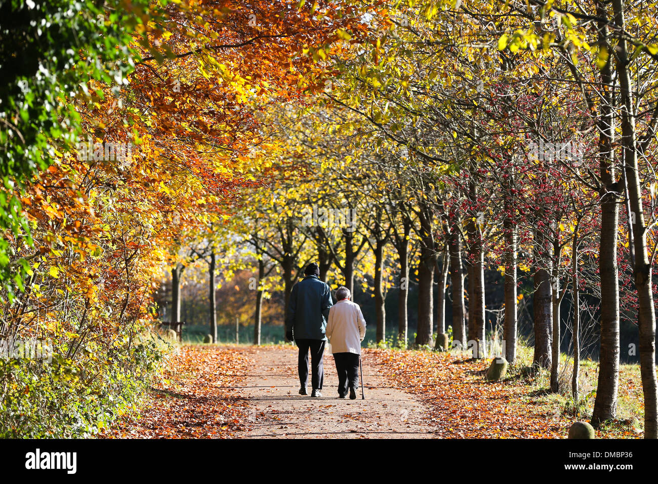 ELDERLY%20PEOPLE%20WALKING%20IN%20A%20PARK%20IN%20THE%20AUTUMN%20IN%20CAMBRIDGE%20Stock%20Photo%20-%20%20Alamy