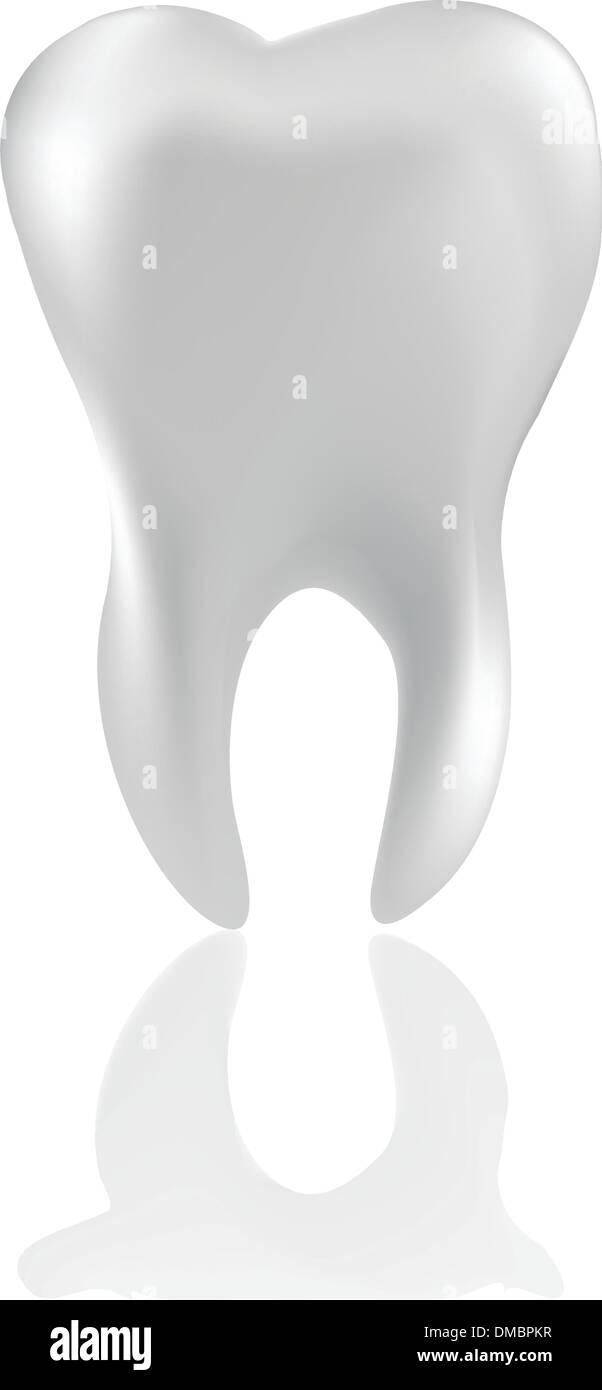 Tooth Isolated on white Stock Vector Image & Art - Alamy