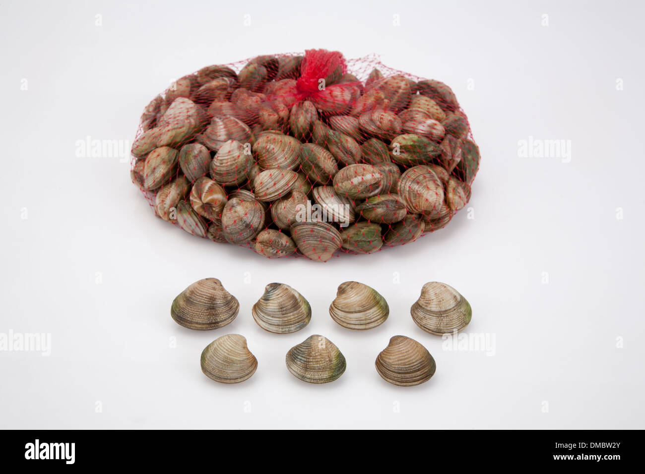 Clam shell raw food uncooked seafood eat product buy sell restaurants