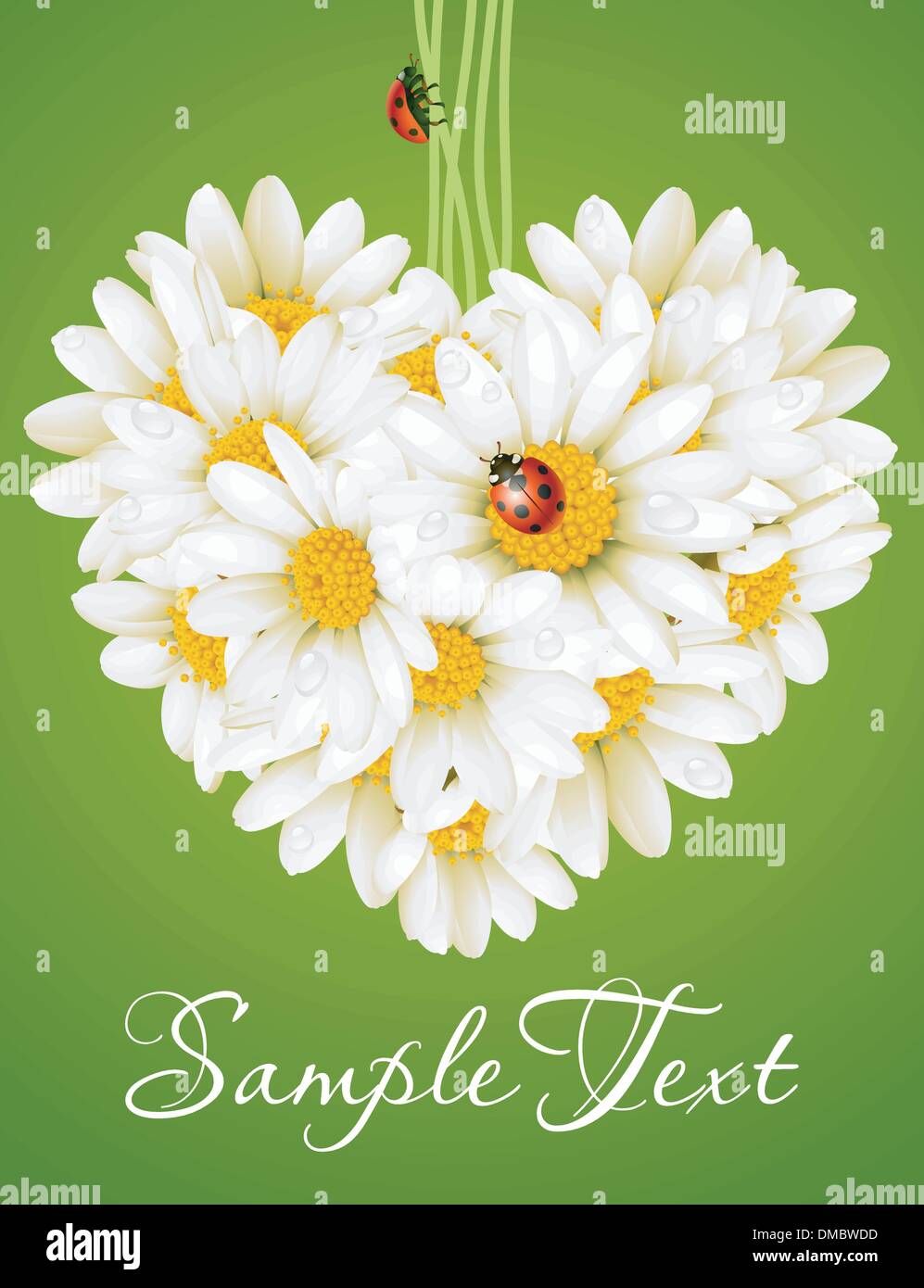 Floral love card (camomile heart) Stock Vector