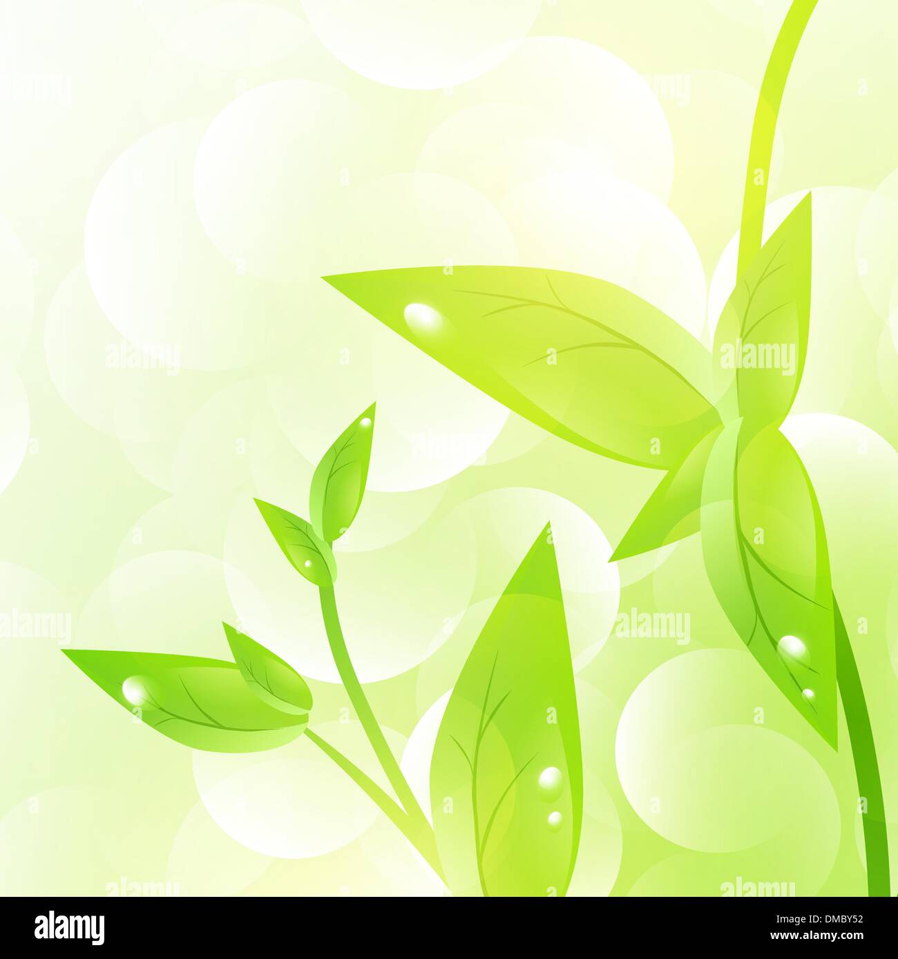 Green leaf Stock Vector