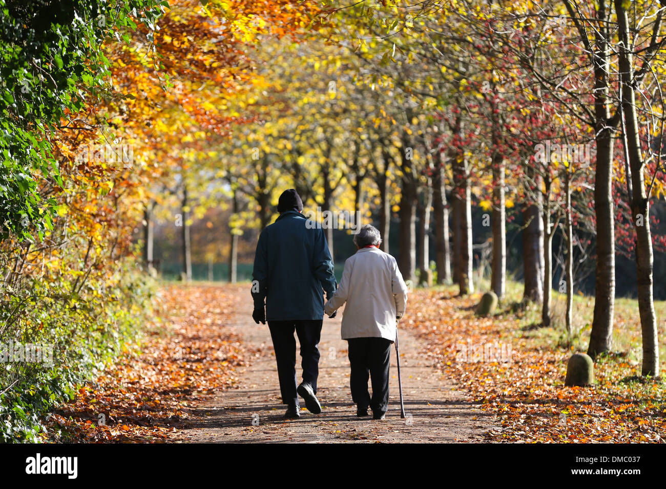 ELDERLY PEOPLE WALKING IN A PARK IN THE AUTUMN IN CAMBRIDGE Stock Photo ...