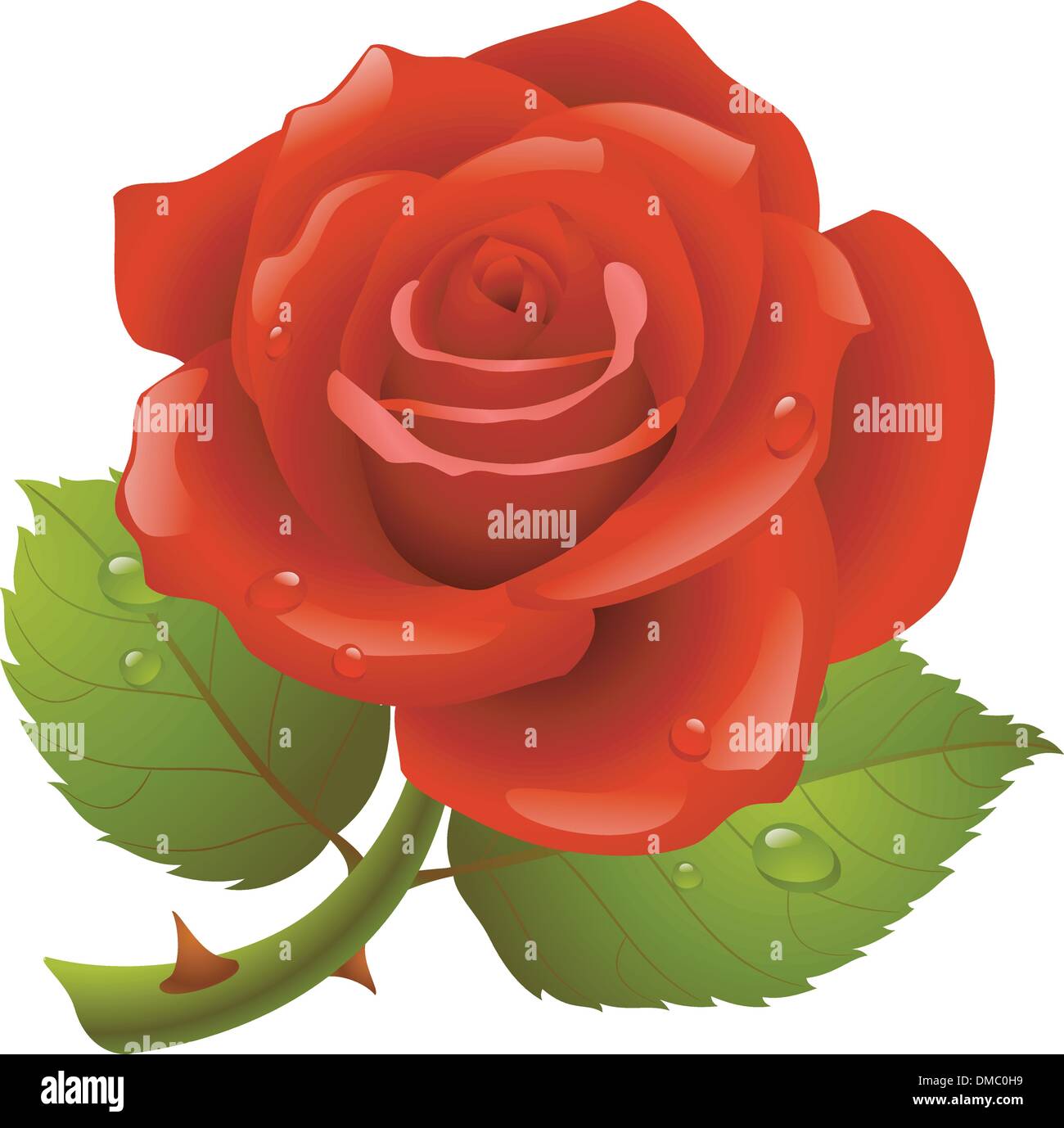 Rose bud drop Stock Vector Images - Alamy