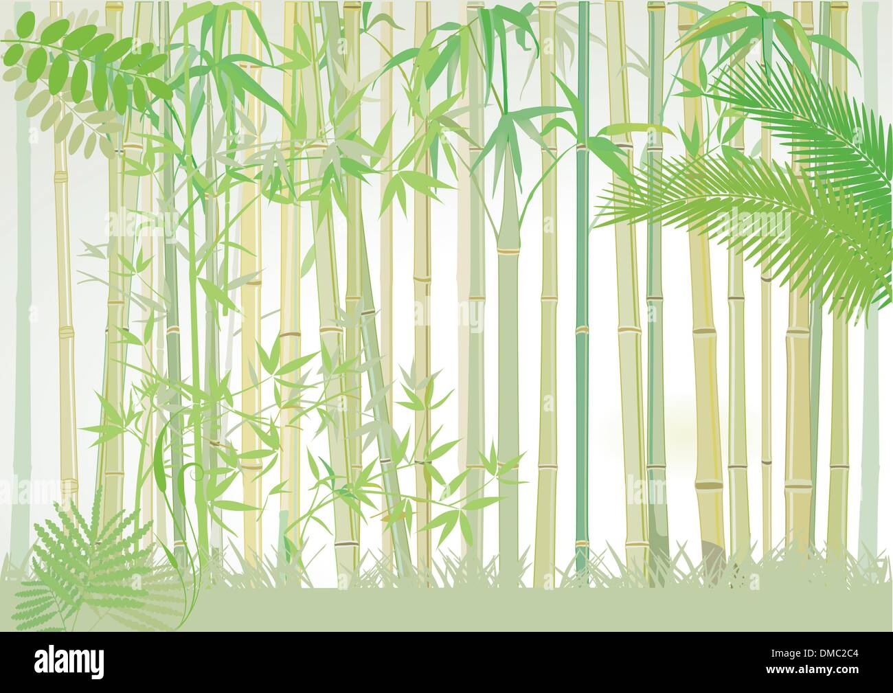 bamboo forest Stock Vector