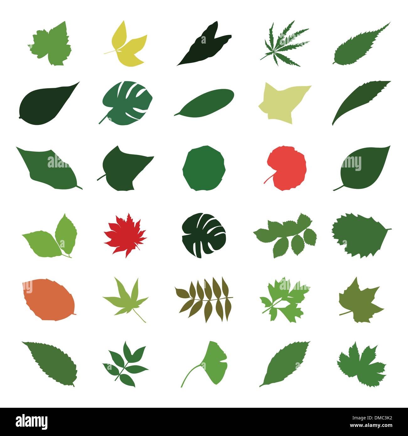 leaf2 Stock Vector