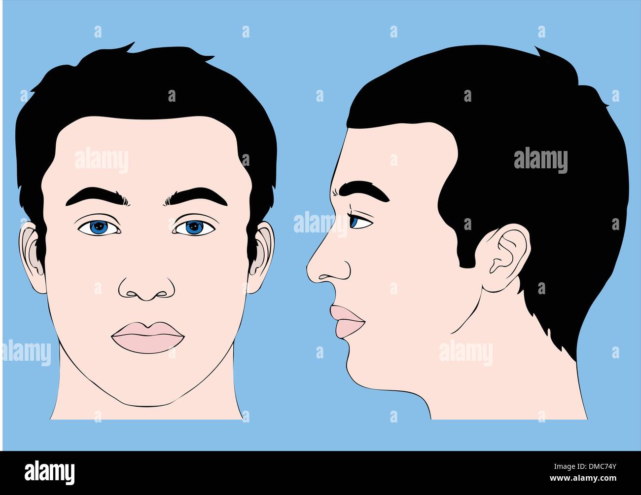 Person head front profile vector hires stock photography and images
