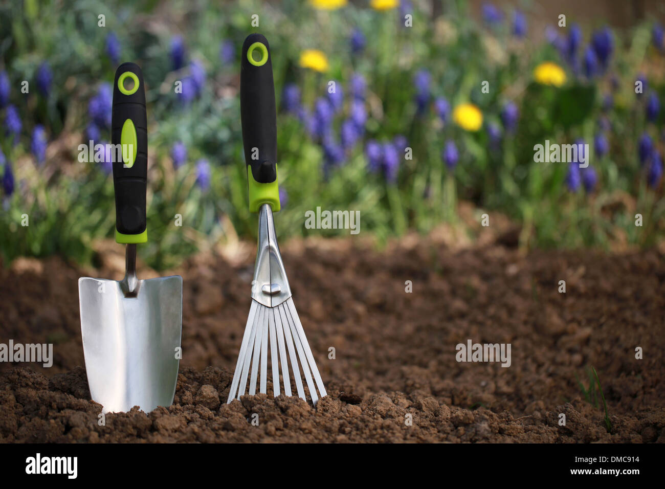 Gardening hand trowel and a rake in garden soil Stock Photo Alamy