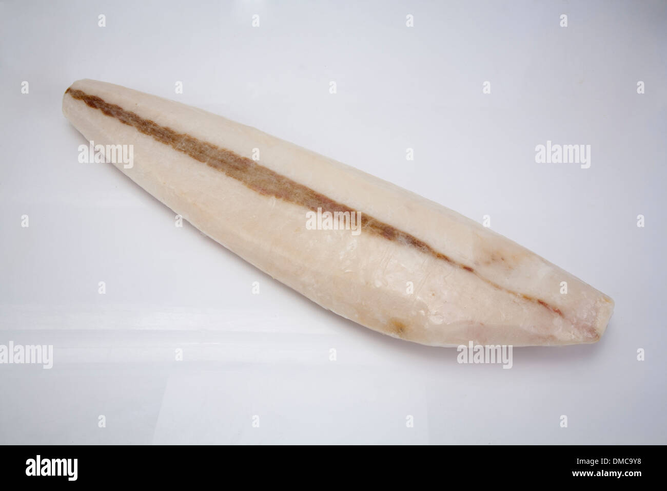 Frozen fish products laid on ice to be showcased for consumption