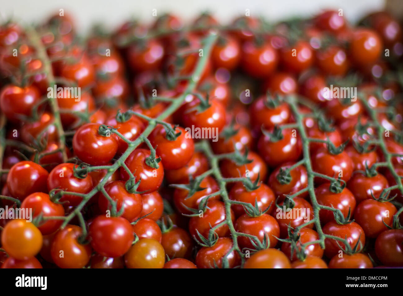 Cherry tomatoes on the vine for sale at Borough Market, London. Stock Photo