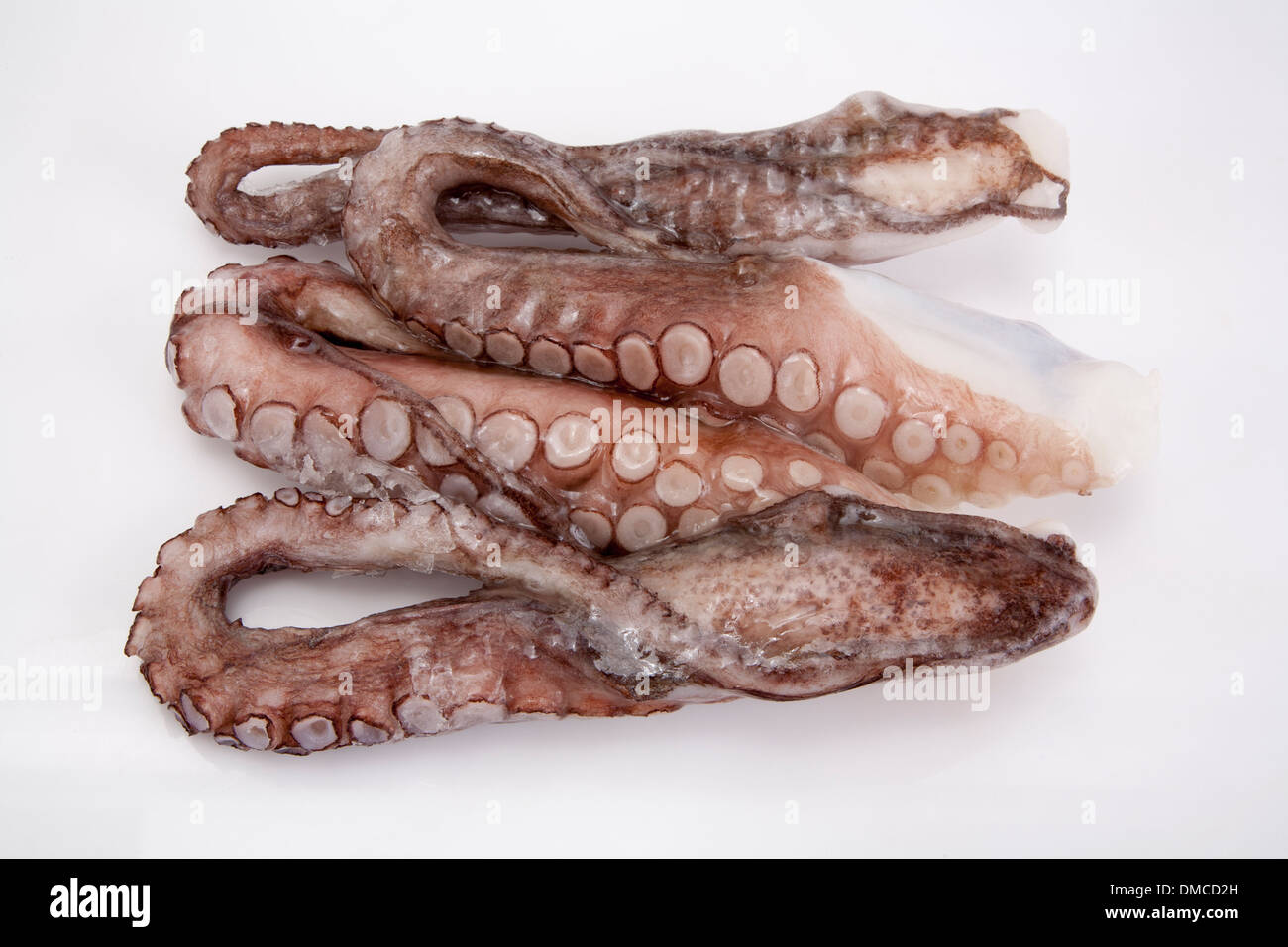 Octopus seafood frozen freeze raw uncooked food nutrition sea creature commerce buy sell wholesale package quantity many number Stock Photo