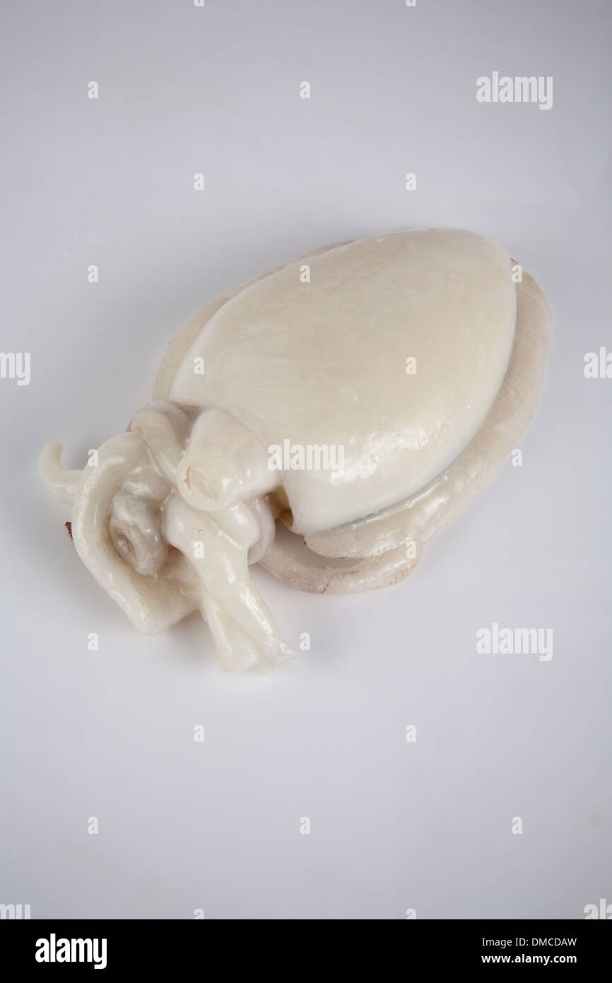 Frozen fish products laid on ice to be showcased for consumption