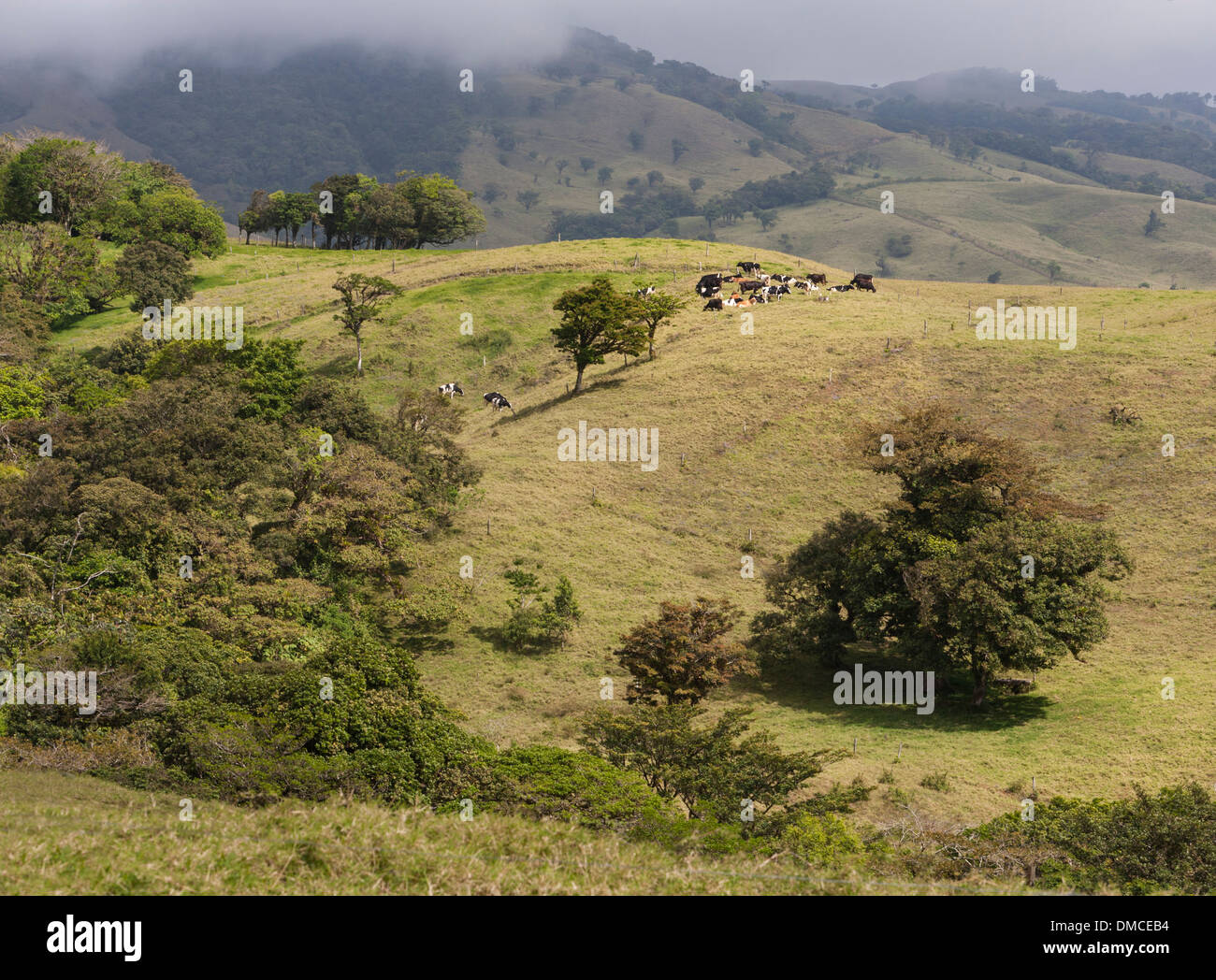 rolling farmland and grazing pasture in Costa Rica near San Jose, the capital. Stock Photo