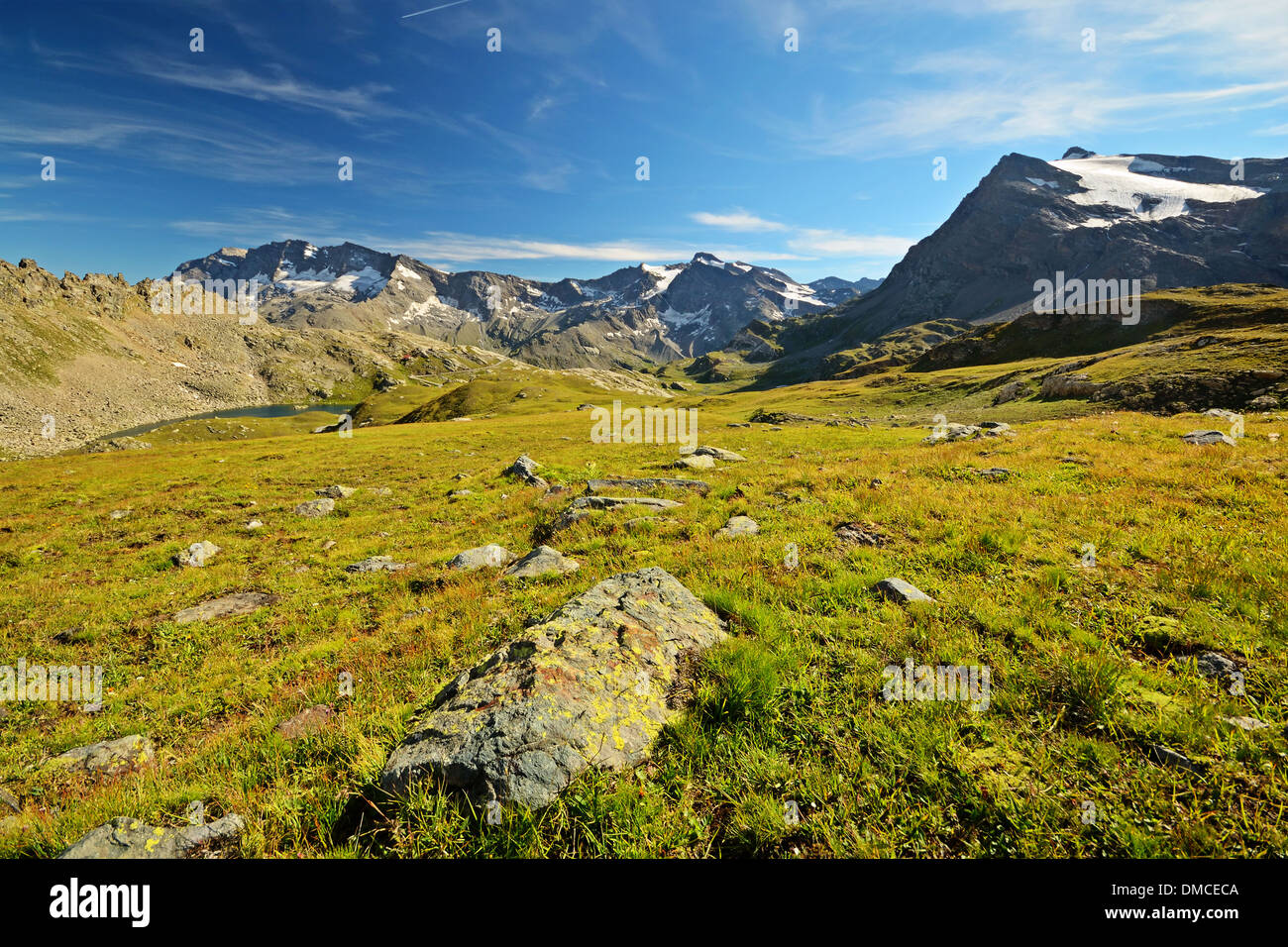 High alpine pasture hi-res stock photography and images - Alamy