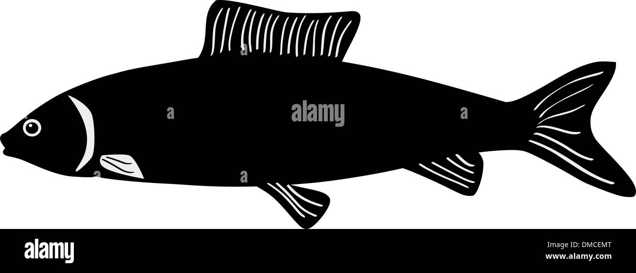 Silhouette of grayling Stock Vector