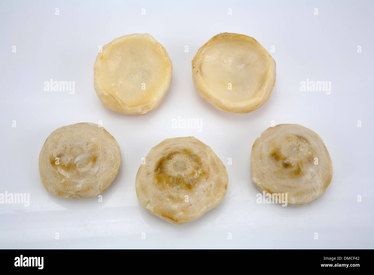 Frozen fish products laid on ice to be showcased for consumption