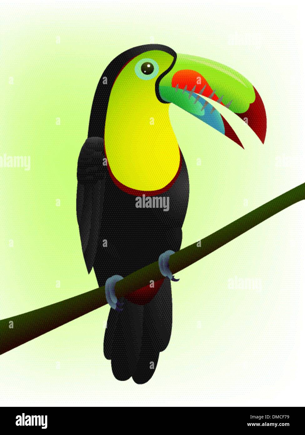 Toucan bird Stock Vector