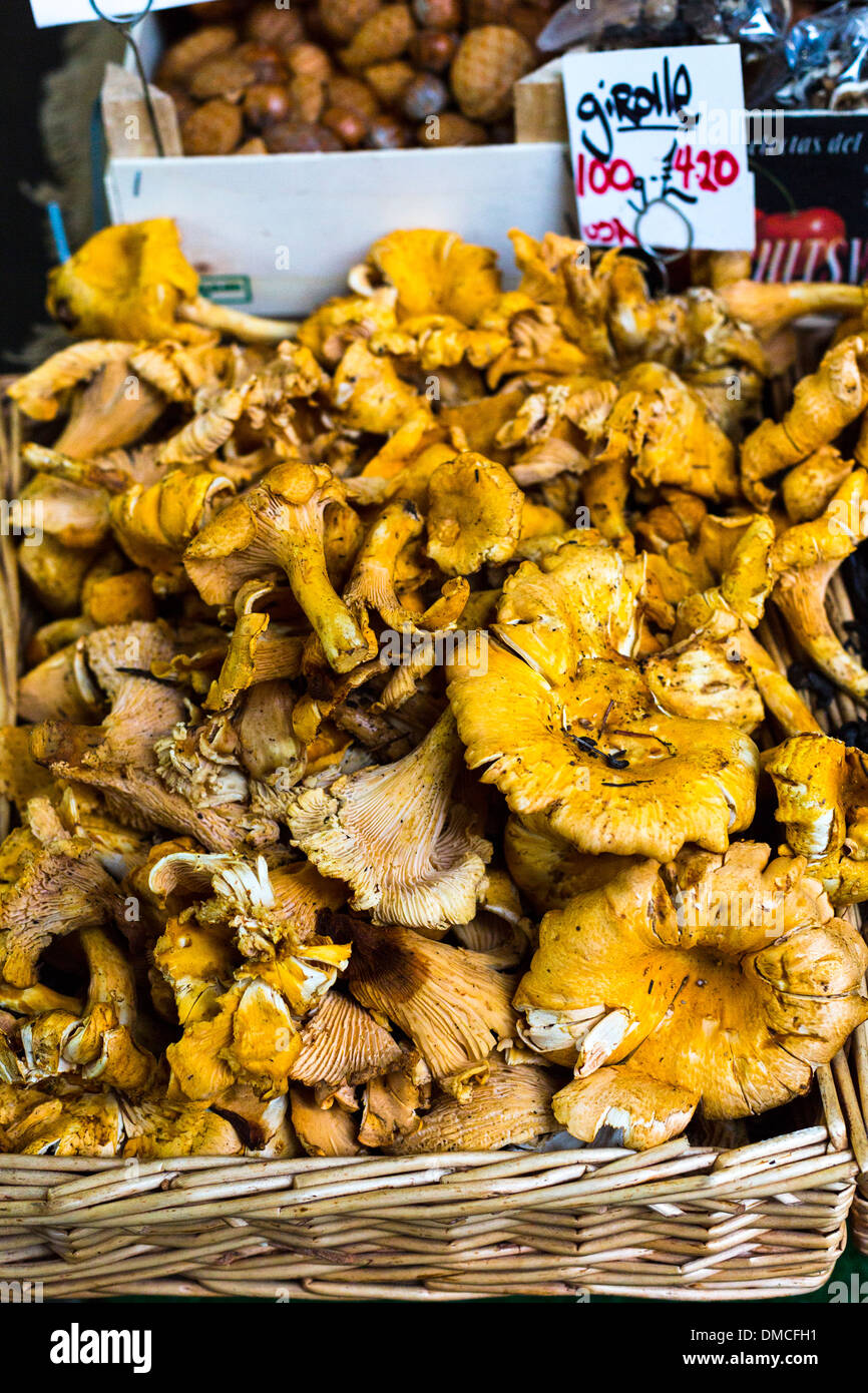 Girolle mushrooms on sale at Borough Market Stock Photo