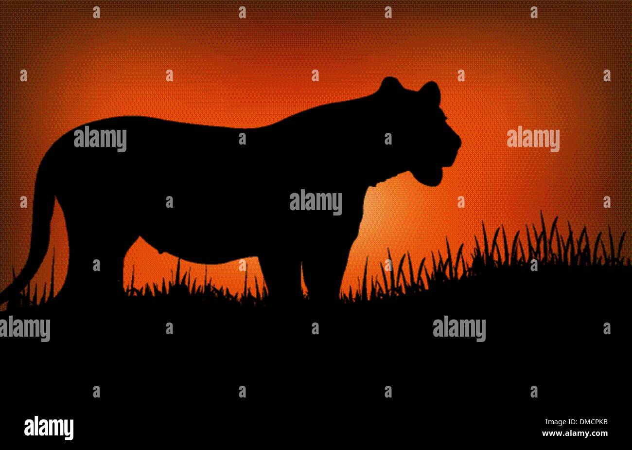 Leopard silhouette hi-res stock photography and images - Alamy