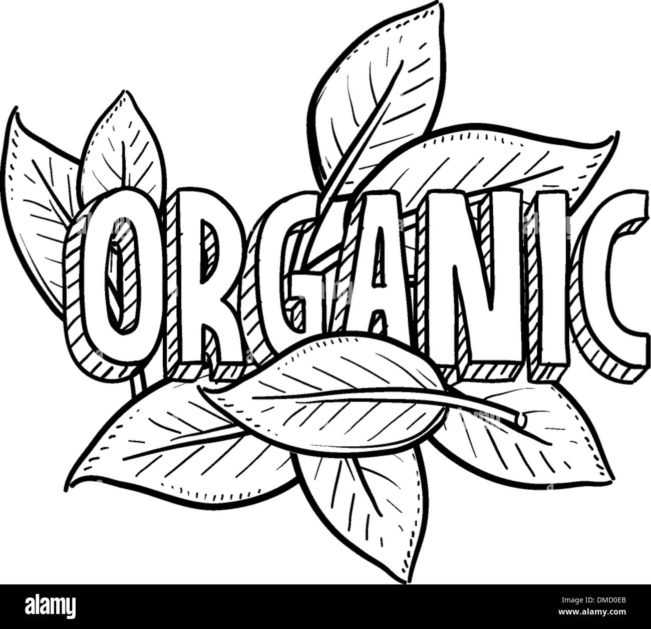 Organic food sketch Stock Vector